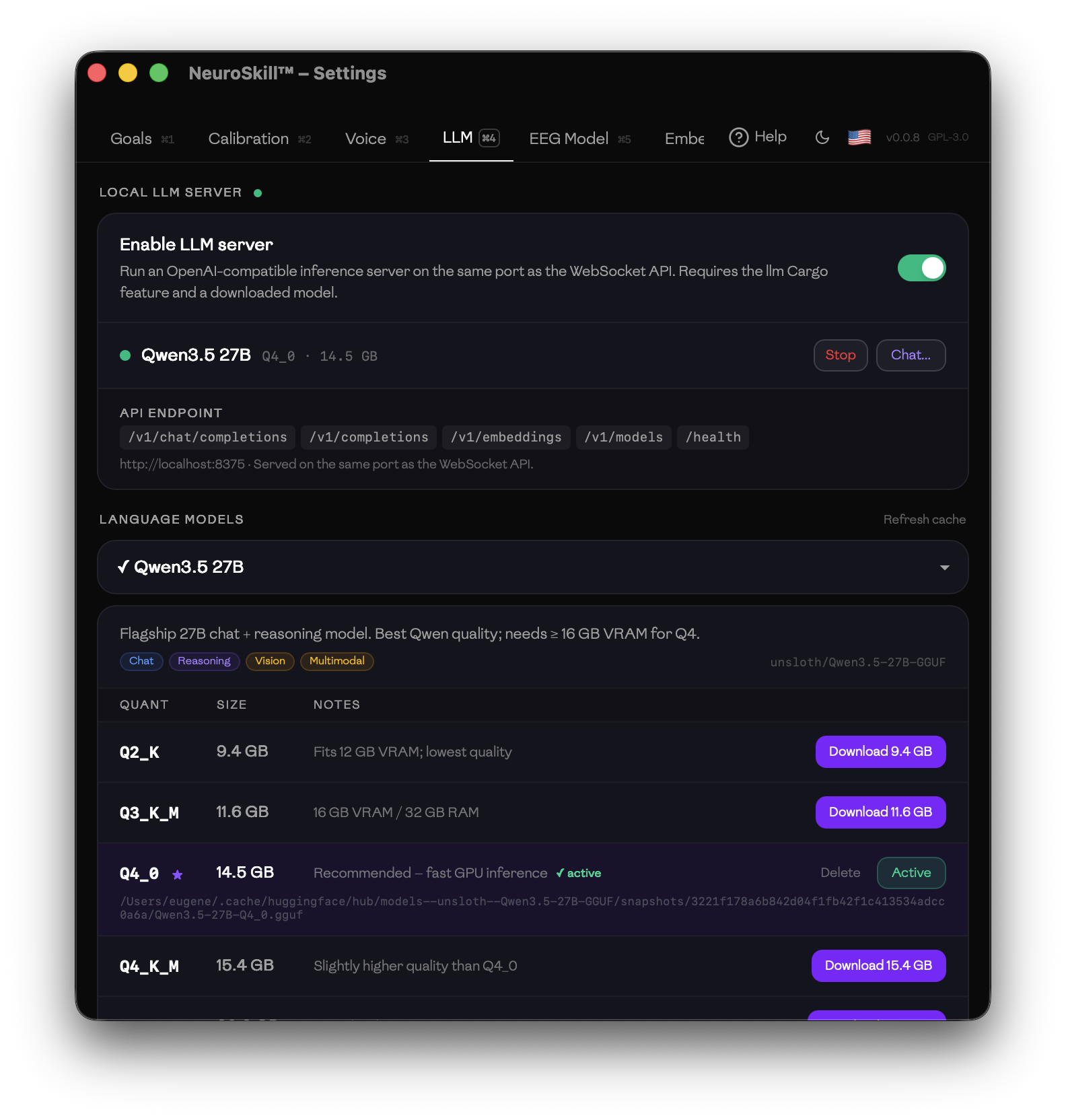 Settings — LLM model download and server configuration
