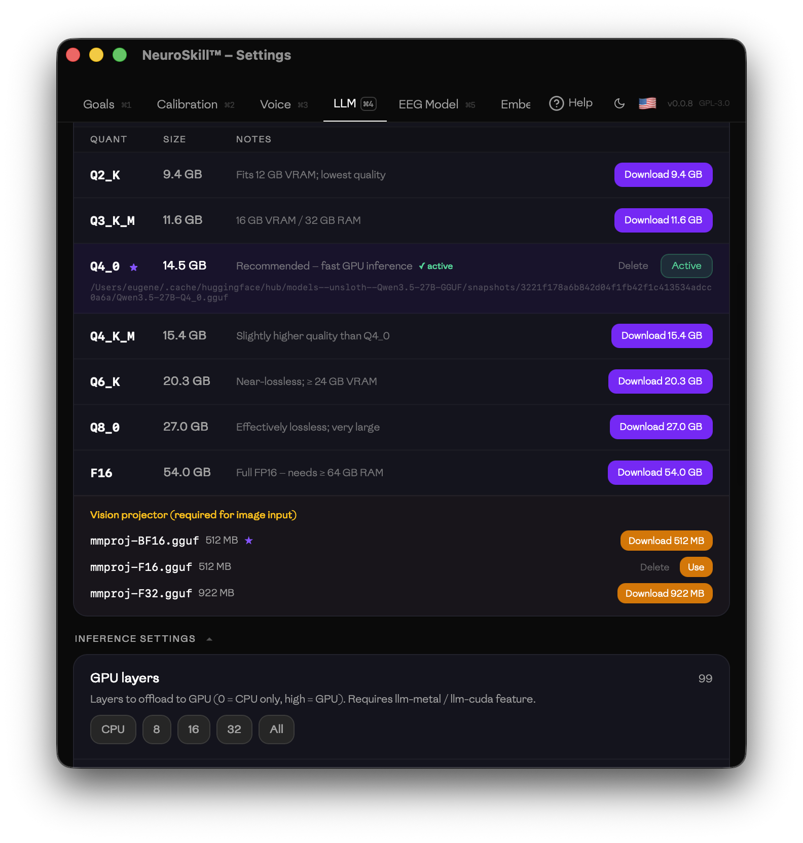 Settings LLM — quantisation options and vision projector download